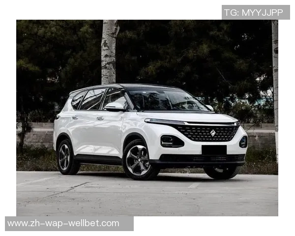 现代385vs全新对比评测揭示未来科技与传统设计的完美融合